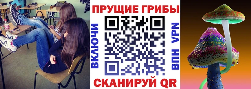 Псилоцибиновые грибы ЛСД  Сергач 